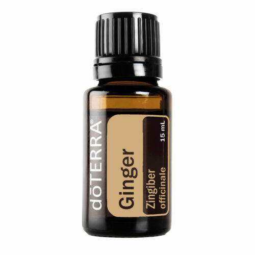 Ginger Essential Oil