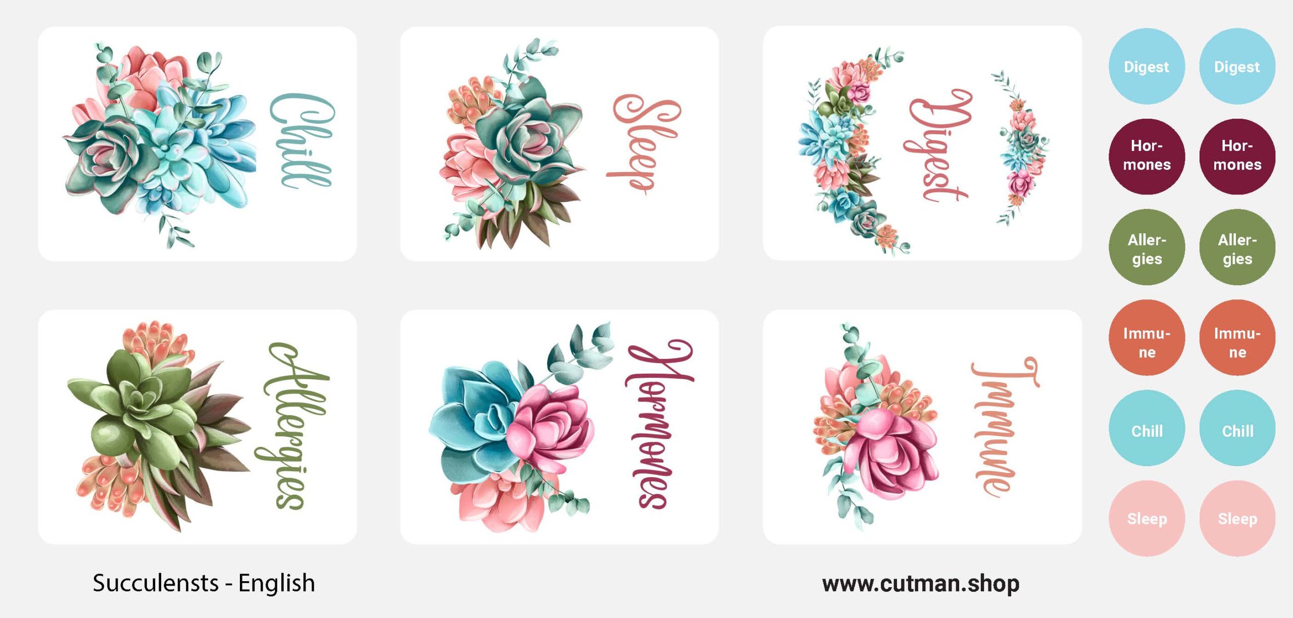 Succulent Sticker