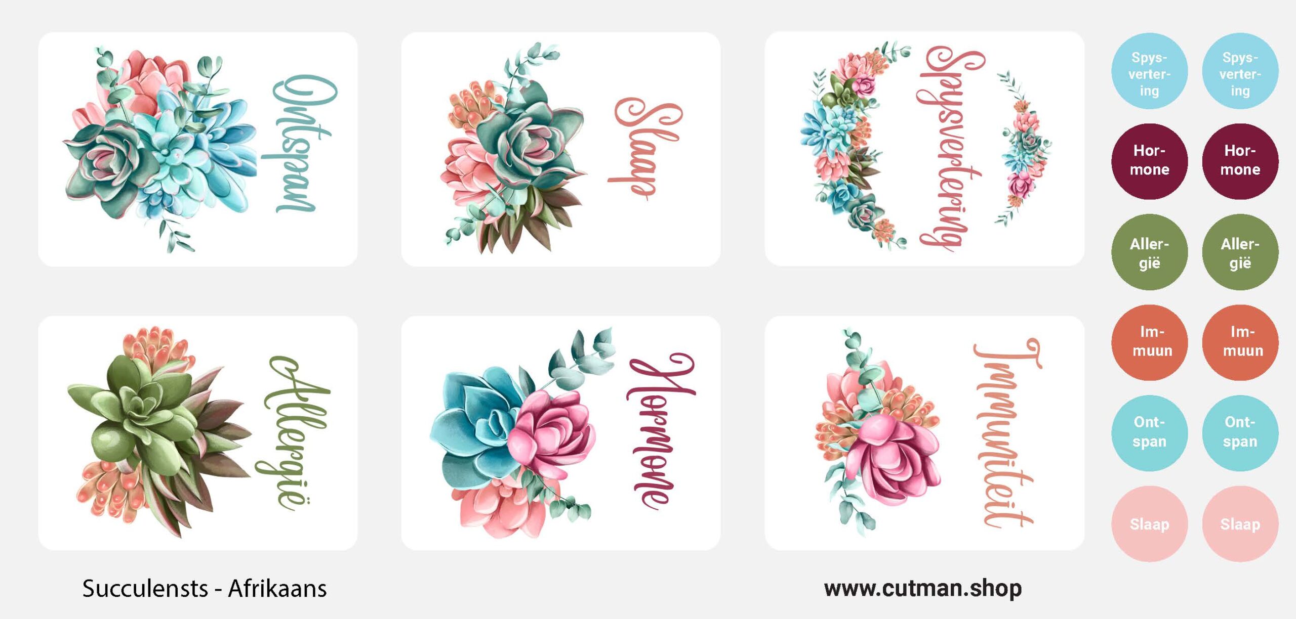 Succulent Sticker